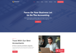 accountant