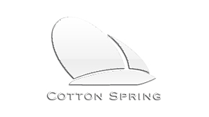 Affordable Web Design Portfolio - WebsiteUnder999